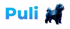 Puli